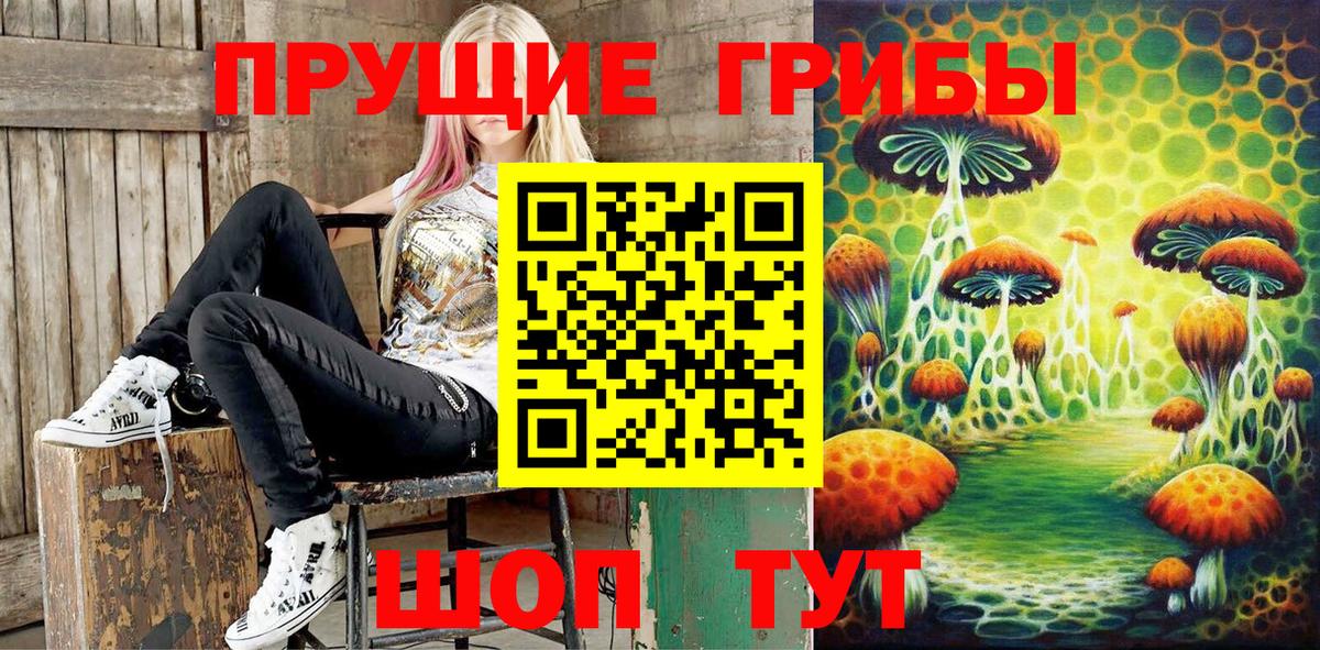 Псилоцибиновые грибы мицелий Тулун